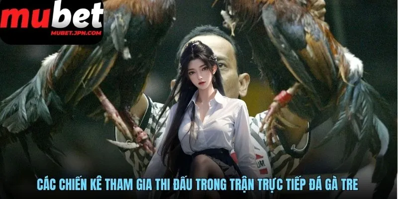 Các chiến kê tham gia thi đấu trong trận trực tiếp đá gà tre